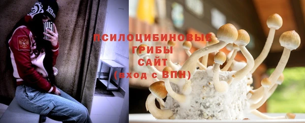 твердый Балахна