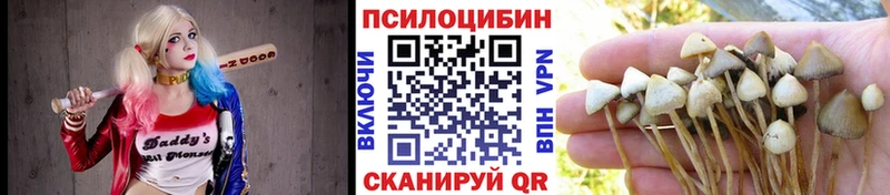 Псилоцибиновые грибы ЛСД  Грайворон 